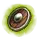 Lemon Shield