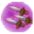 Magic Knife
