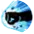 Shell Break