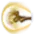 Staff Thrust