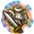 Expert's Customization