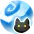 Blizzard